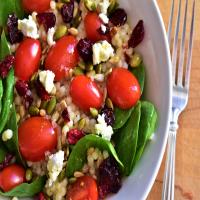 Couscous Salad with Kale, Tomatoes, Cranberries, and Feta_image