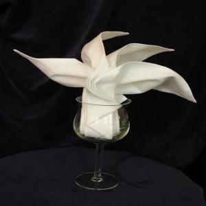 Serviette/Napkin Folding, Sydney Opera Fan in Wine Glass_image