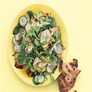 Grilled Chicken Salad with Radishes, Cucumbers, and Tarragon Pesto_image