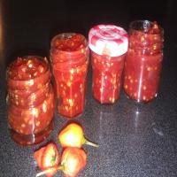 Simple Hot Chilli Sauce image