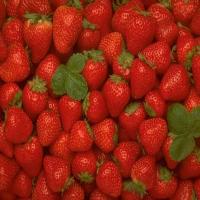 Strawberry Yogurt Shake_image