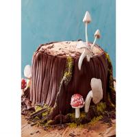 Woodland Stump Cake image