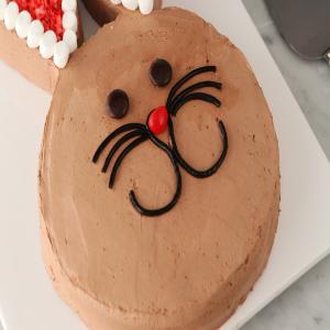 Chocolate Bunny Cake_image