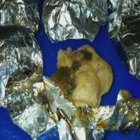 Chinese Foil Chicken image