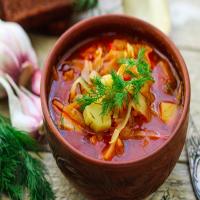 The Cabbage Soup Diet image