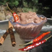 Mexican Chocolate Frozen Yogurt_image