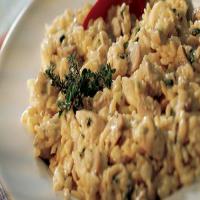 Creamy Orzo with Chicken image