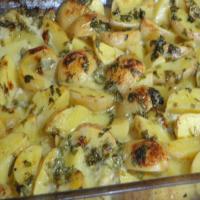 New Potatoes in Blue Cheese Cream_image