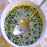 Cream of Spinach Soup image