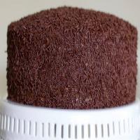Ant House Cake with Chocolate Mascarpone Frosting_image