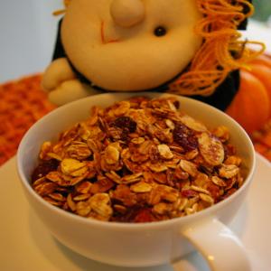 Lower Fat Granola With Your Choice of Fruits_image