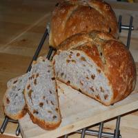 Sourdough Raisin Walnut Bread (Abm)_image