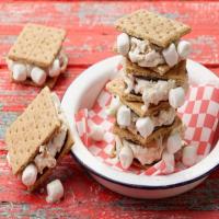 The Frozen S'more image