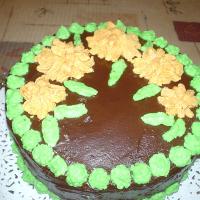 Our Favorite Chocolate Cake_image