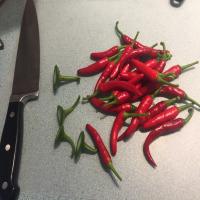 Hot Red Chile Pepper Sauce image