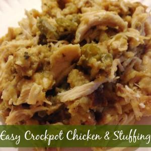 Crockpot Chicken & Stuffing Recipe - (4.5/5)_image