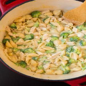 Creamy Broccoli Chicken Shells & Cheese Recipe - (4.6/5)_image