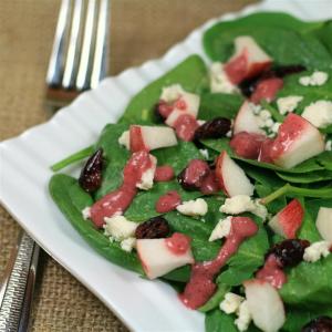 Spinach Salad with Pomegranate Cranberry Dressing_image