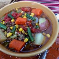 Old-Fashioned Hamburger and Vegetable Stew image