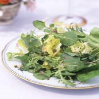 Mixed Green Salad with Tarragon Vinaigrette_image