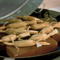 Pulled Chicken and Corn Tamales_image