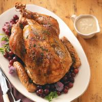 Seasoned Turkey Gravy_image