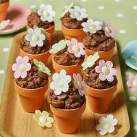 Flowerpot chocolate chip muffins image