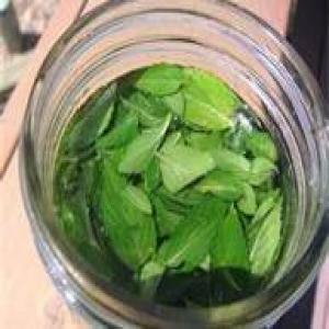Mint Extract_image