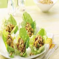 Asian Chicken Salad Lettuce Cups_image