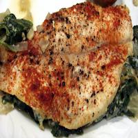 Sole and Spinach Casserole image
