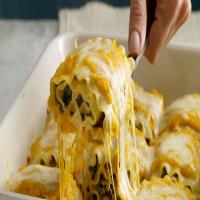Butternut Squash Lasagna Rolls_image
