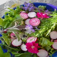 Elizabethan English Herb and Flower Salad With Honey Dressing image