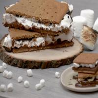 Giant S'more for a Crowd_image