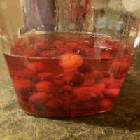 Cranberry Infused Vodka_image