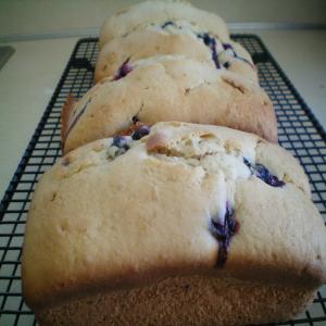 Blueberry-Nut Mini Loaves image