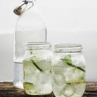 Coconut Water and Lime Rickey_image