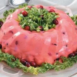 Triple Cranberry Salad Mold_image