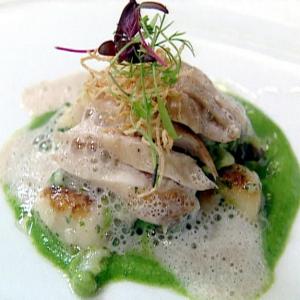 Roasted Young Rabbit with Gnocchi and Fricasse of Spring Vegetables, Spinach Puree, and Morel Foam image