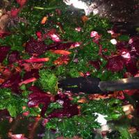 Roasted Beets and Kale Salad Recipe - (4.6/5) image