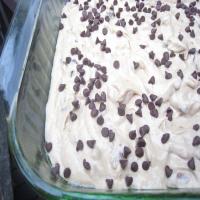 My Hubby's Chocolate Chip Camping Cake_image