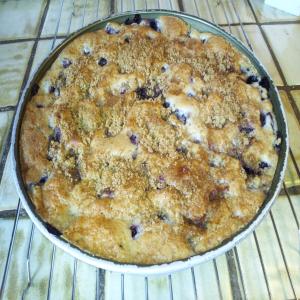 Low Fat Blueberry Coffee Cake_image