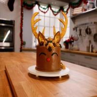 Reindeer Cake image