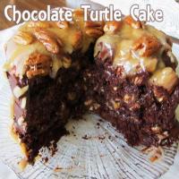 Chocolate Turtle Cake Recipe - (4.2/5) image