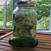 Cucumbers in Vinegar image