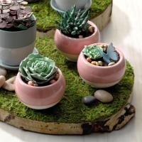 Dirt Pudding Cups image