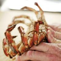Cooking fresh crab_image