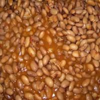 Texas Pinto Beans image