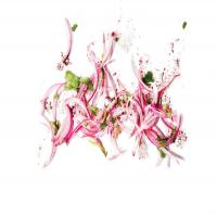 Lime-Pickled Red Onion image