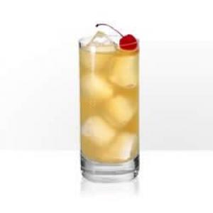 Tanqueray Tom Collins_image