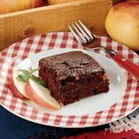 Apple Cocoa Snack Cake_image